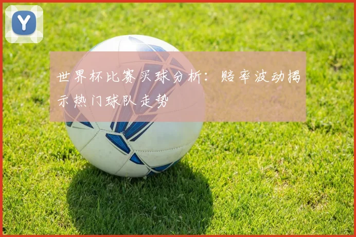世界杯比赛买球分析：赔率波动揭示热门球队走势