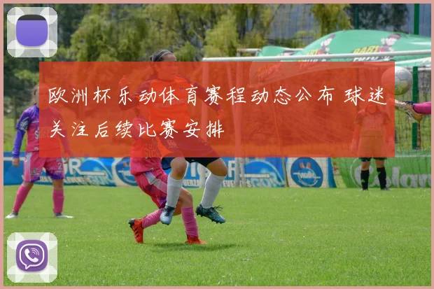 欧洲杯乐动体育赛程动态公布 球迷关注后续比赛安排