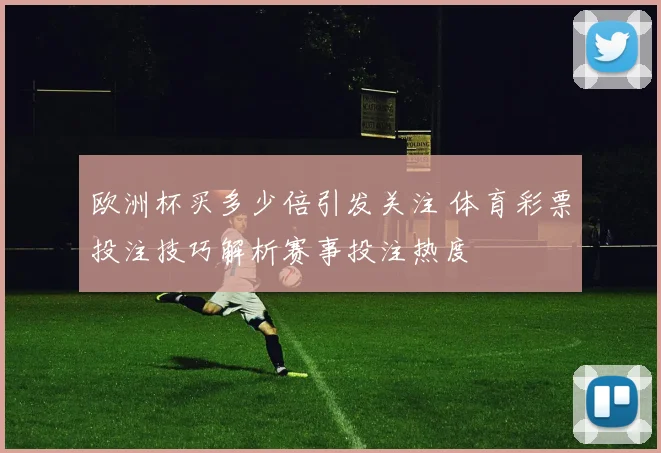 欧洲杯买多少倍引发关注 体育彩票投注技巧解析赛事投注热度