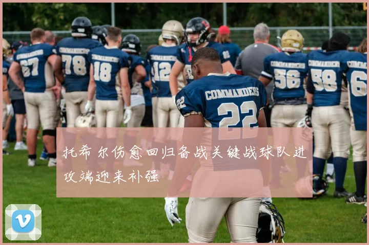 托希尔伤愈回归备战关键战球队进攻端迎来补强