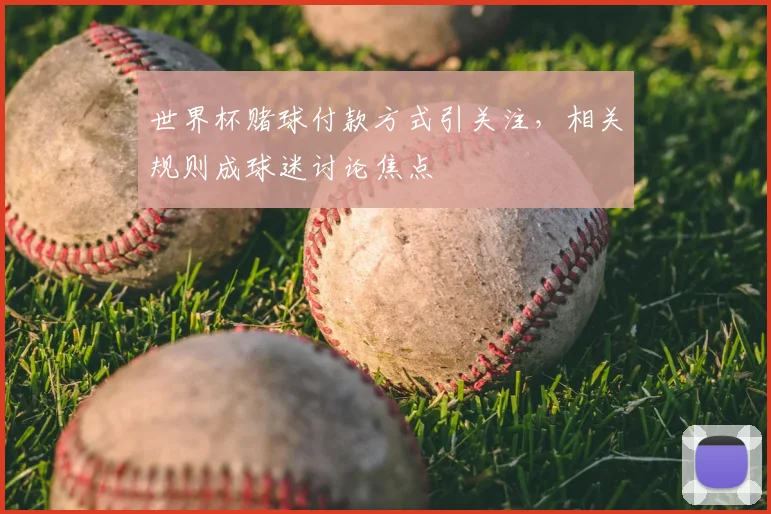 世界杯赌球付款方式引关注,相关规则成球迷讨论焦点