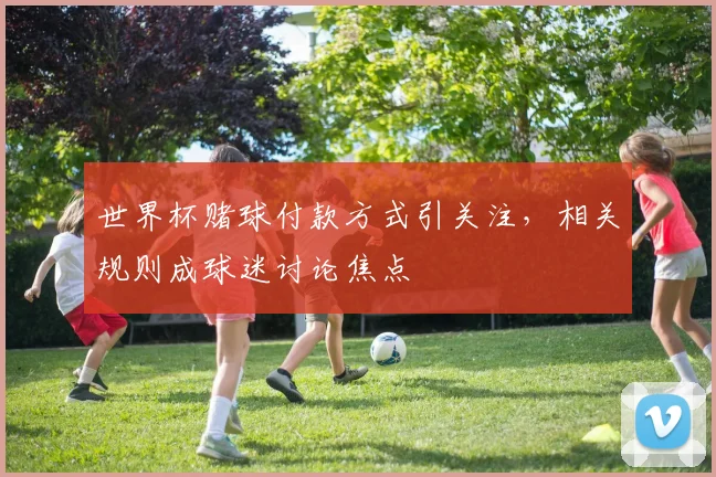 世界杯赌球付款方式引关注,相关规则成球迷讨论焦点