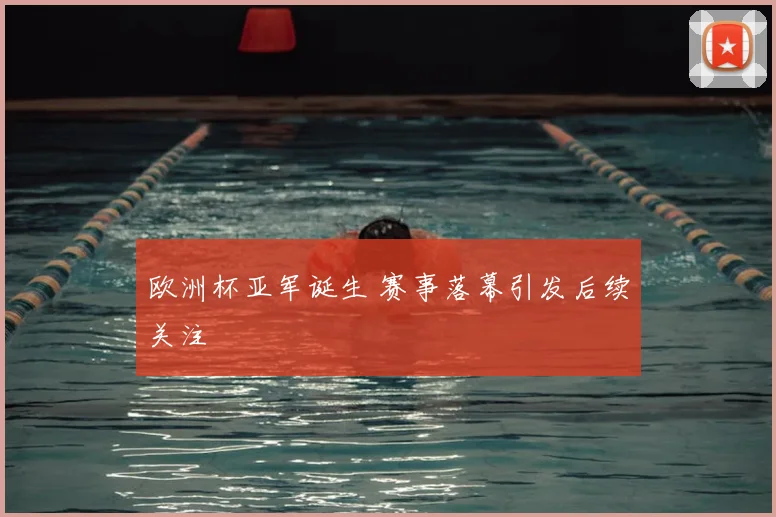 欧洲杯亚军诞生 赛事落幕引发后续关注