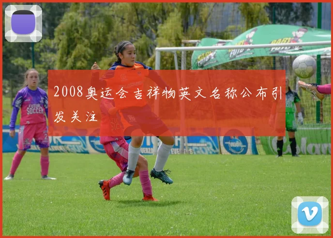 2008奥运会吉祥物英文名称公布引发关注